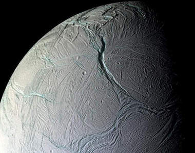 土星生物化石發現?!