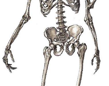 超詭異《人骨作品》！