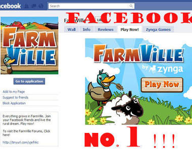 臉書外掛第一名!你今天種菜了嗎?