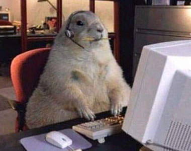 動物們也流行玩電腦啦~