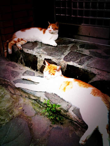 圖片3 圖片3