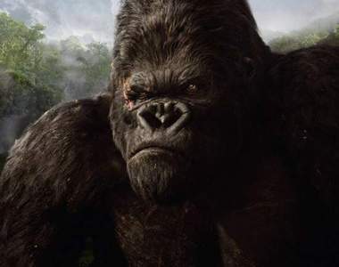 《剛果比利猿》非洲最強猛獸