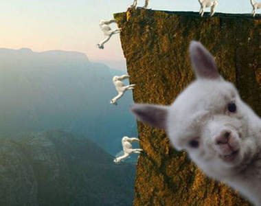 蜘蛛羊：淦~這才叫好漢坡