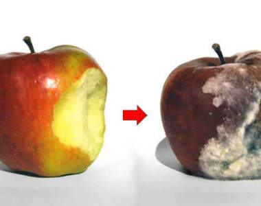 縮時攝影 一窺自然界的奧妙