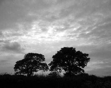 自殺歌曲《黑色星期天》