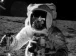 宇宙中的不可思議寫真集:火星篇 宇宙中的不可思議寫真集:火星篇