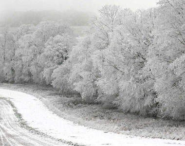 冷~還要更冷 雪國照片集