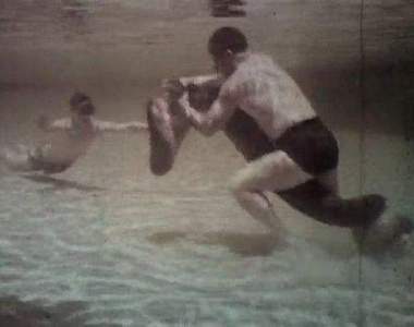 絕對真人真事！人與大蟒蛇驚險的實況搏鬥