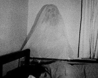 向玫瑰之夜致敬之靈異照片大募集