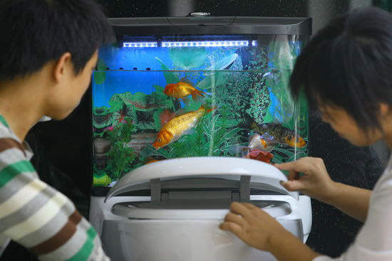 圖片1 圖片1