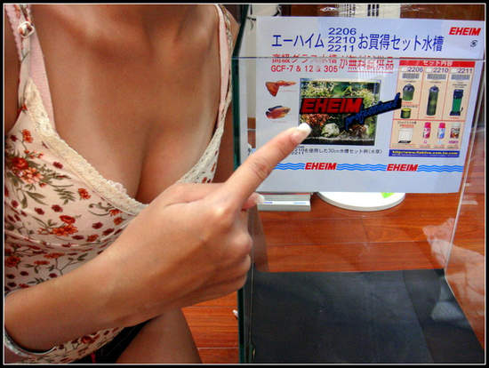 圖片3 圖片3