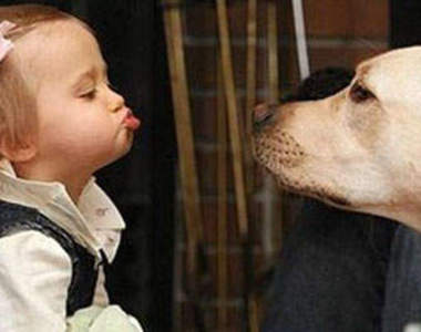 果然狗狗和小朋友是好夥伴~