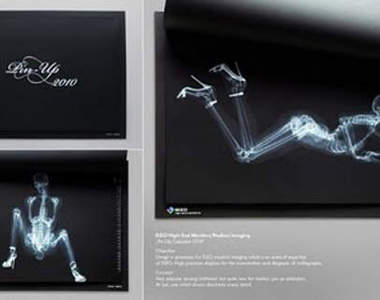 EIZO的正妹X光月曆