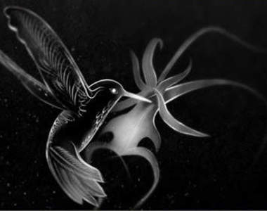 馬汀大夫50週年紀念動畫【Lilac Wine】