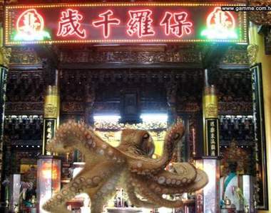 第一座章魚哥保羅廟在台落成，百萬粉絲感動到哭了！