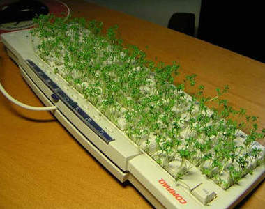 上班族～想放假嗎？