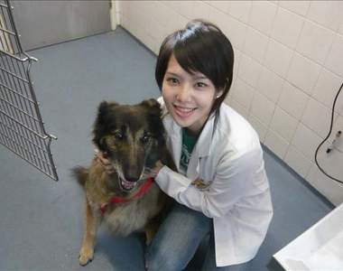 〝 劉乃潔〞 乃姬 最美獸醫 台大五姬之首電暈桃太郎