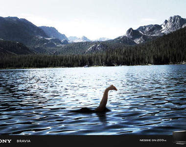 〝高溫39度〞連水怪都受不了啦！