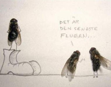 大家用《蒼蠅標本》來玩玩看吧~