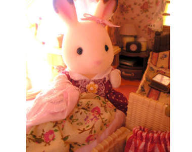 左岸禁忌的女子宿舍大公開~原來女生都這樣...