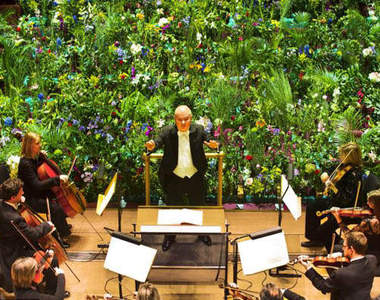 管弦樂團觀眾綠～油～油～