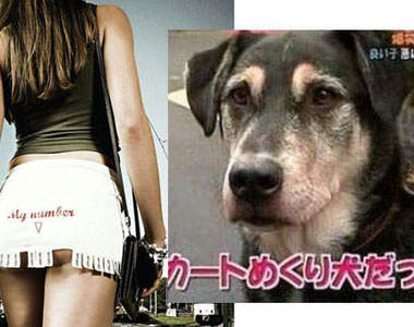 日本變態狗 喜歡掀女生迷你裙⊙ω⊙