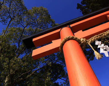 日本《怪怪神社》大集合！