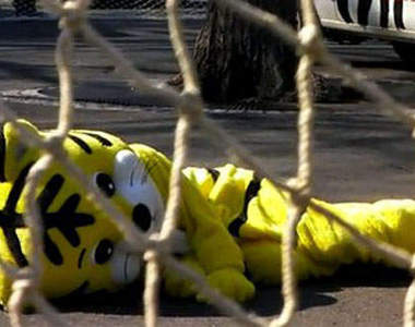 《日本動物園》 防止動物脫逃訓練 : 十分有趣