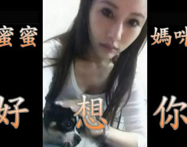 協詢愛犬 蜜蜜不見了！請三重區的朋友留意一下