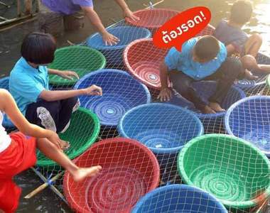 洪水中的智慧 泰國人的天才發明