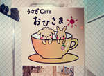 《兔子咖啡店》邊看兔子邊喝咖啡♥
