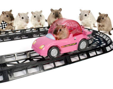 哈姆太郎專用賽車~超拉風的啦!