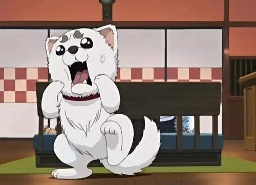 銀魂 定春圍巾 陪你暖洋洋過冬啦