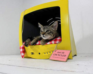 廢箱變貓窩？！轉變成超有Fu的貓咪窩～喵　