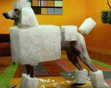 超誇張！創意狗狗打扮比賽