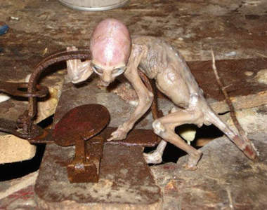 就跟你說~真的有外星人