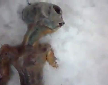 又來了~西伯利亞發現外星人屍體?!