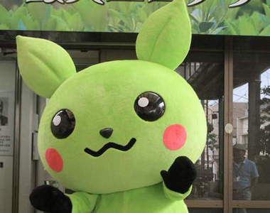 你是誰？臉綠掉的神奇寶貝嗎？？