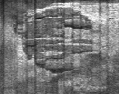 千年鷹號發現!?沉眠海底的水底飛碟