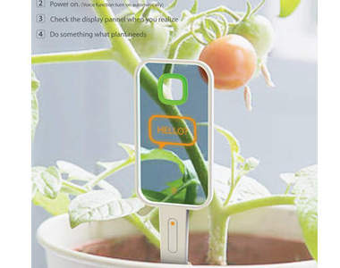 需要澆水嗎？問一下你的植物就知道！