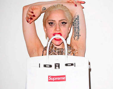 SUPREME x GAGA 最新潮流形象照