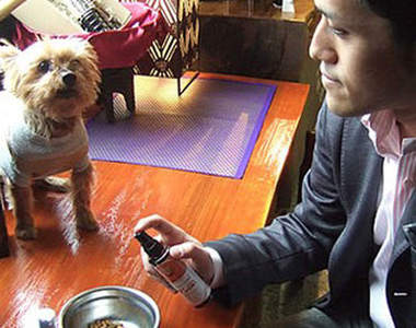 《狗狗專用醬油》新鮮美味又健康～★