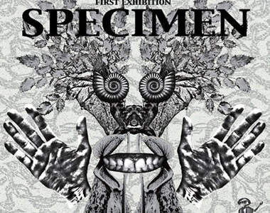 MANU獨創如「標本」般的服裝世界