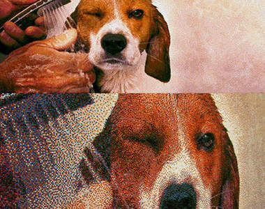 《 糖果照片》不知小孩子會不會喜歡❤