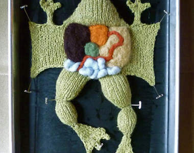 好可愛～可是又好殘忍的《解剖編織娃娃》