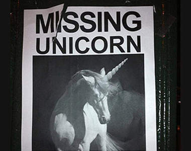 我的寵物不見了~你有看到他嗎?