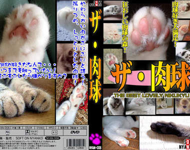 一起來見證貓咪演A片的時刻～Magic～