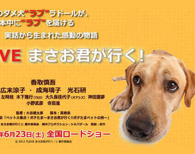 《LOVE》「寵物當家」第一代旅犬《雅夫》與松本的故事～