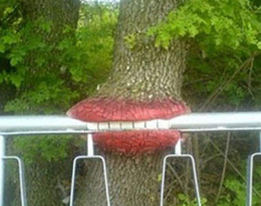 餓餓的樹 什麼都給樹吃掉了~(哭哭)