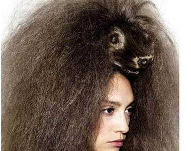 搞怪的《動物造型》髮型